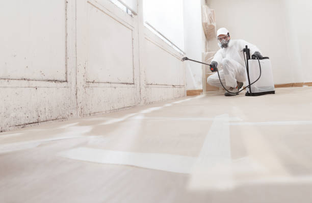 24/7 Emergency Mold Remediation experts in Chatham, NJ